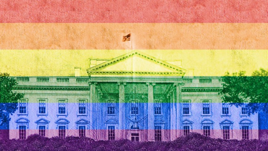 LGBTQ rights: Where do Harris and Trump stand?