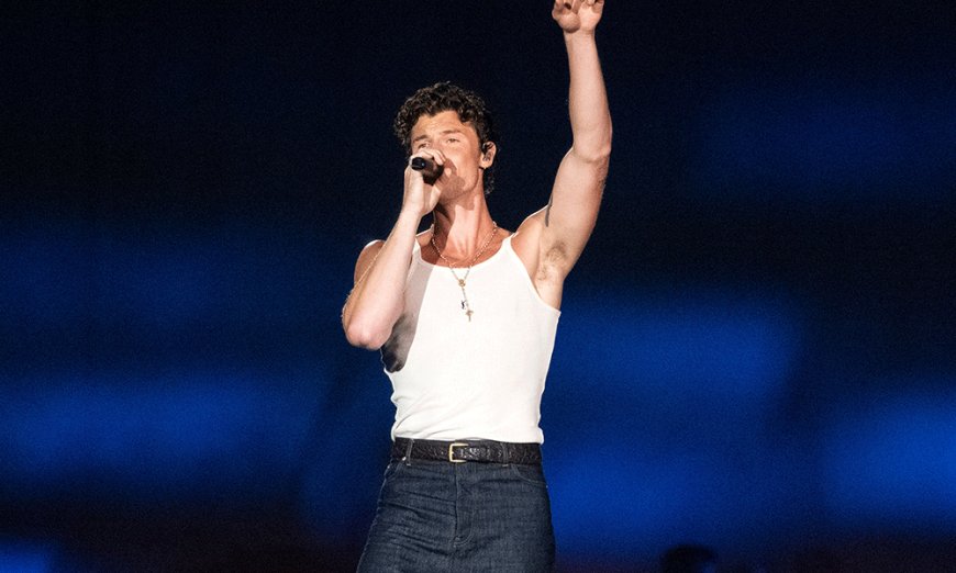 Shawn Mendes Opens Up About His Sexuality On Stage