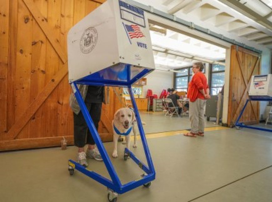 The early voter gets the sticker: What it’s like to work at the polls in NYC