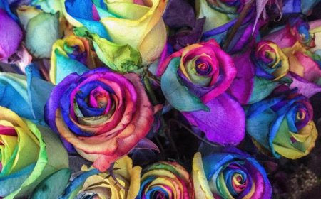 Flower Delivery For LGBT Couples: The Best Blooms & Their Meanings