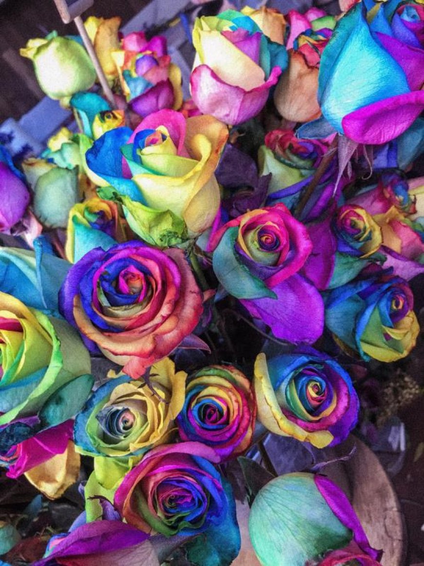 Flower Delivery For LGBT Couples: The Best Blooms & Their Meanings