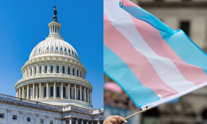 Transgender Activists Stage Sit-In Protest at US Capitol Over Bathroom Ban Proposal