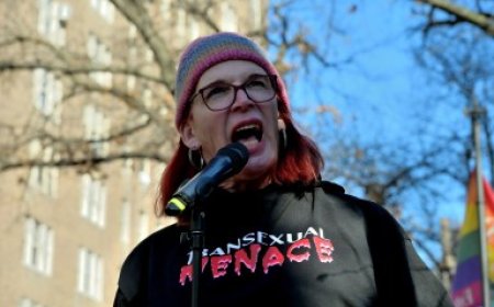 The history and resurgence of The Transexual Menace