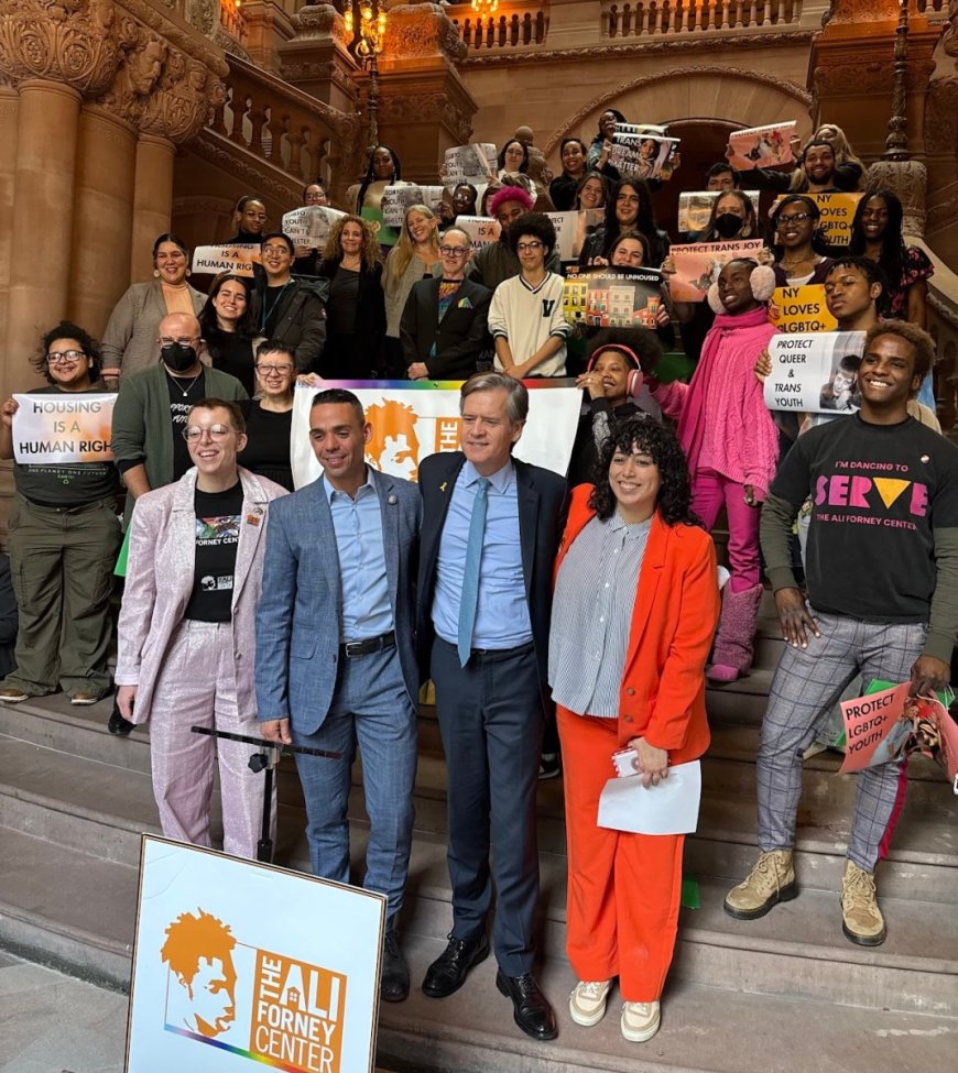 Advocates for NYC LGBTQ+ community rally in Albany to protect civil rights in Trump era