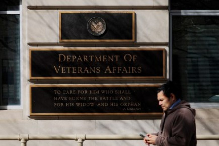 Department of Veteran Affairs bans gender-affirming care for trans vets