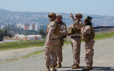 Trump’s trans military ban blocked by three federal trial judges