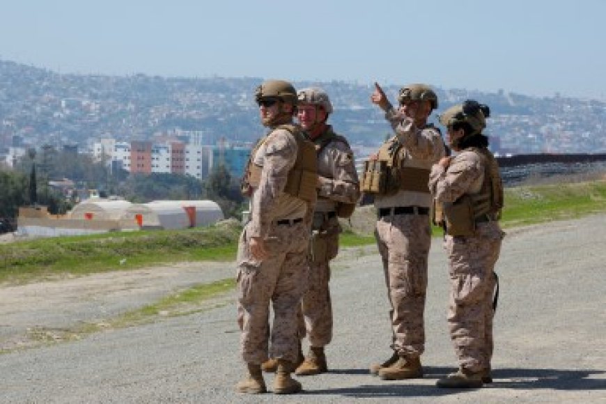 Trump’s trans military ban blocked by three federal trial judges