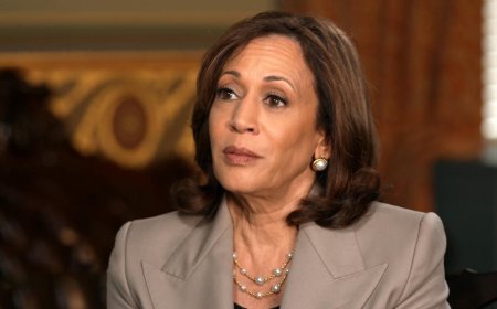 Kamala Harris Goes Viral at Emerge Gala for Pride Fan Whip and Surprise Dance With LGBTQ+ Influencer