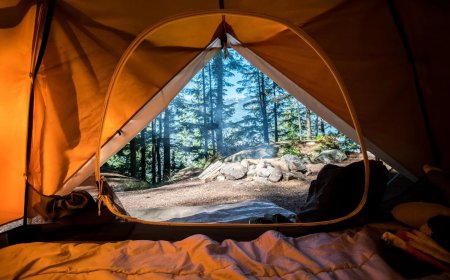 Eco-Friendly Camping in Destin: How to Leave No Trace and Keep Nature Clean