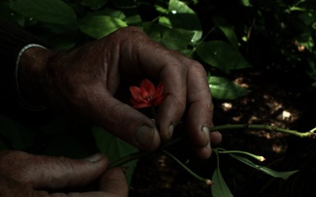 At BAM, ‘7 Walks With Mark Brown’ and a Pierre Creton retrospective explore gay life in rural France