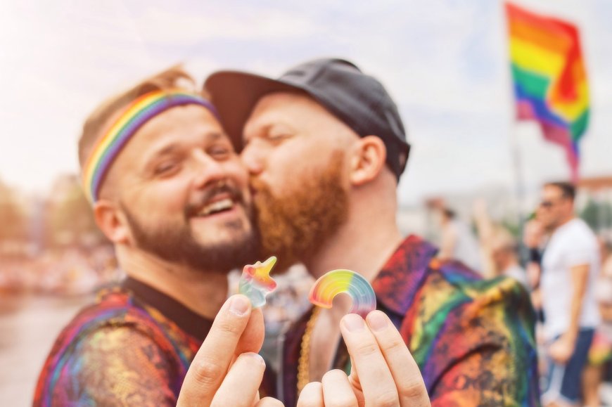 Pride Calendar Netherlands 2025: All 25 LGBTQ+ Events by Province