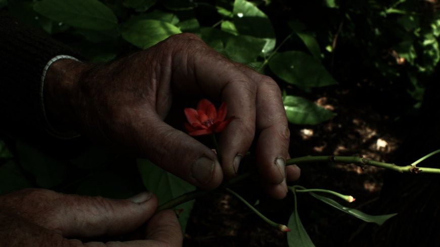 At BAM, ‘7 Walks With Mark Brown’ and a Pierre Creton retrospective explore gay life in rural France