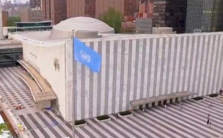 UN Council Renews Mandate On LGBTQ Rights