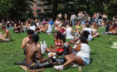 Report outlines New York State’s LGBTQ population and highlights disparities