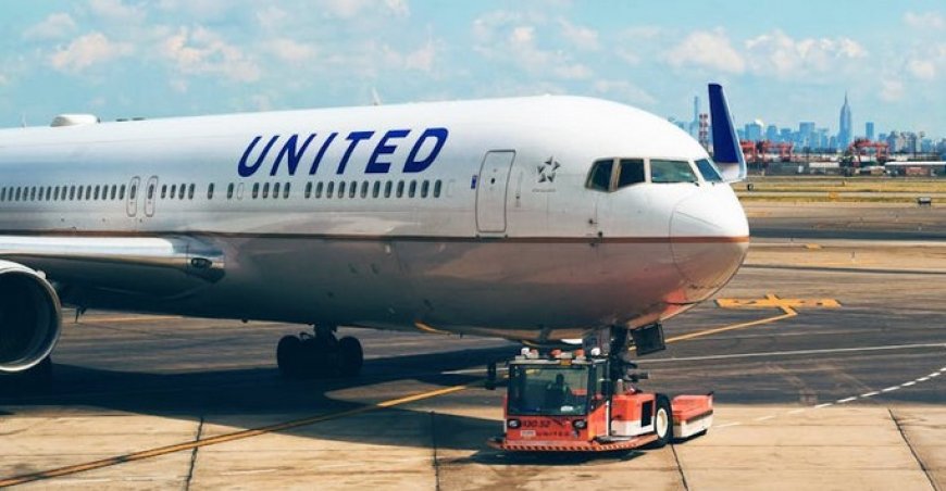 Homocon Flight Attendant Sues Union Over Firing