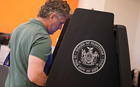 2025 Elections: What you need to know before voting