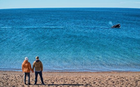 Puerto Madryn & Gaiman: A gay couple story of whales & Welsh