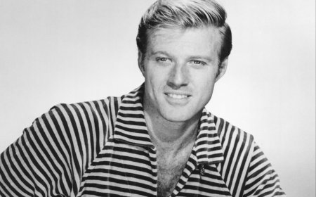 The bad boy bisexual character that put Robert Redford on the map way back in 1965