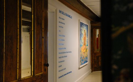 She Sells Sea Shells exhibit debuts at Staten Island’s Alice Austen House 