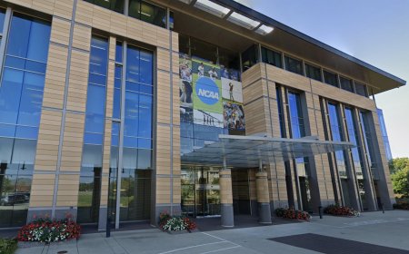 Trans athlete sues SUNY Geneseo, NCAA for discrimination on the basis of gender identity