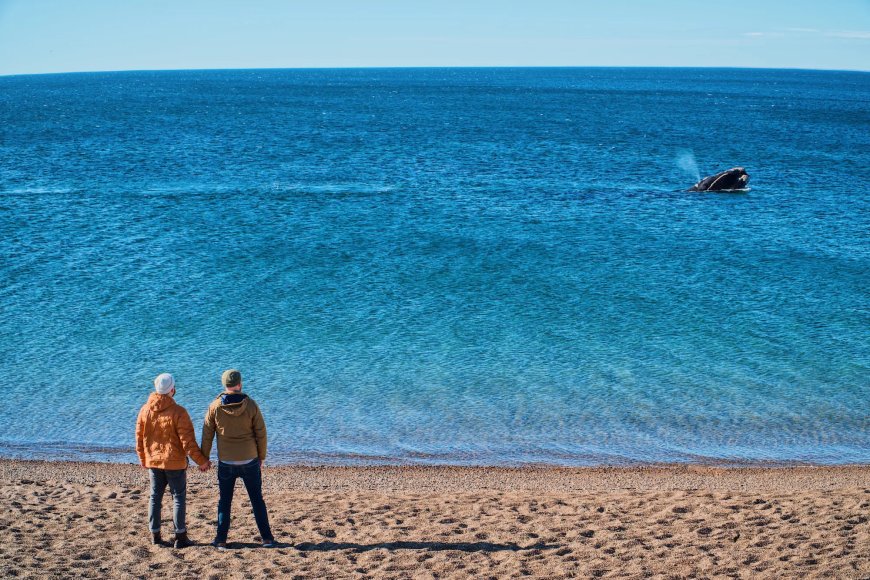 Puerto Madryn: A gay couple story of whales & Welsh culture in Argentina