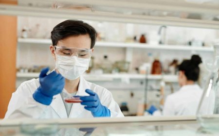 Scientists Create Human Embryos Using Skin Cells, A Step Toward Same-Sex Conception