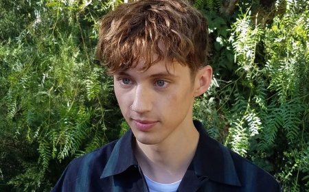A TikToker didn’t recognize Troye Sivan in the wild, and things got awkward quickly