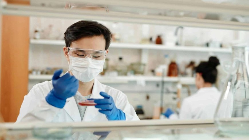 Scientists Create Human Embryos Using Skin Cells, A Step Toward Same-Sex Conception