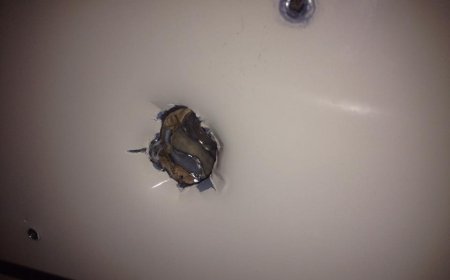 Campus scandal erupts: Glory hole in library bathroom shocks students — “It’s quite disturbing”