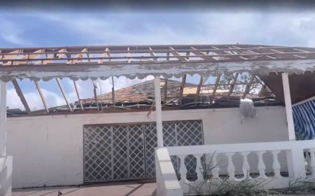 Surviving Melissa: How ChatGPT helped us weather Jamaica’s Category 5 fury