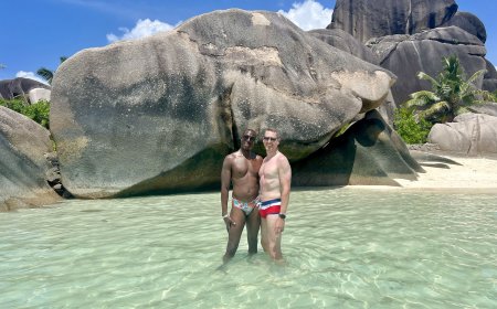 Inside the tropical island with X-rated palm trees