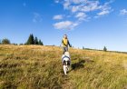 Top Dog Breeds That Love the Outdoors