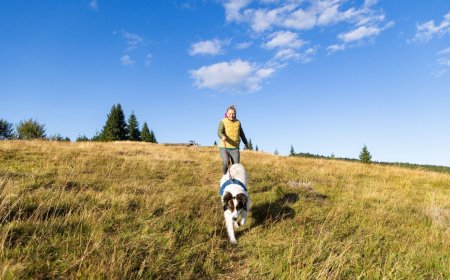 Top Dog Breeds That Love the Outdoors