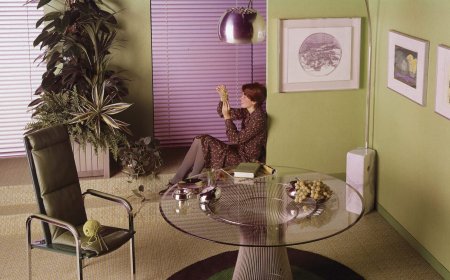 Ranking The Houseplants of Gay People Based on Their Zodiac Signs, Including Ones That Will Outlive Their Relationships