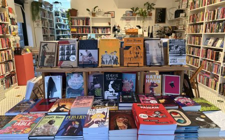 Queer bookstore Hive Mind Books builds community in Brooklyn