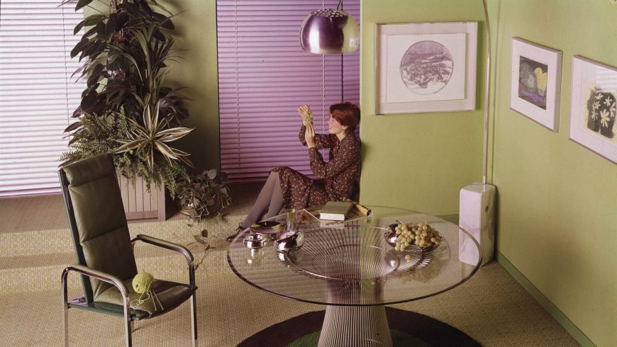 Ranking The Houseplants of Gay People Based on Their Zodiac Signs, Including Ones That Will Outlive Their Relationships