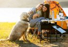 Camping With A Dog – Tips For A Stress-Free Trip