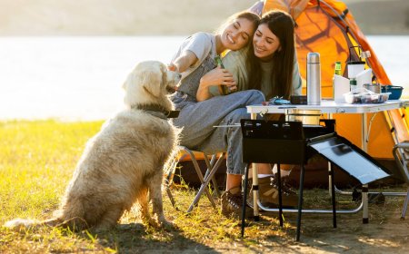 Camping With A Dog – Tips For A Stress-Free Trip