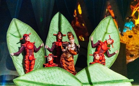 Cirque du Soleil’s OVO dazzles and delights at the Royal Albert Hall – review