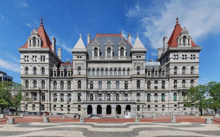 New York State Senate votes to stop IVF discrimination against queer couples