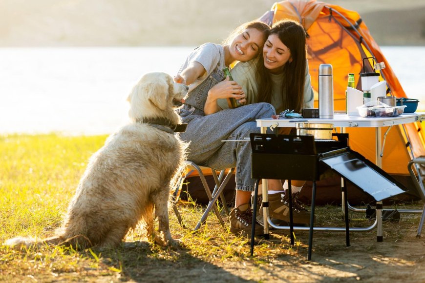 Camping With A Dog – Tips For A Stress-Free Trip