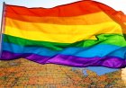 Gallup Survey: 9% Of US Adults Identify As LGBTQ