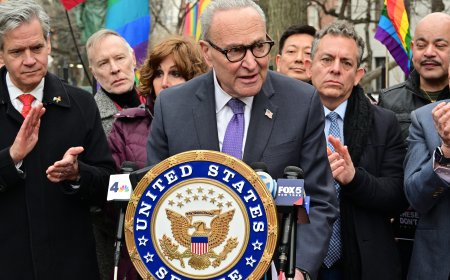 Schumer introduces bill to make Rainbow Flag permanent part of Stonewall National Monument