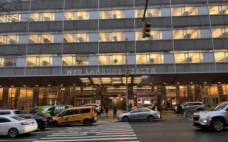 NYU Langone shuts down youth gender-affirming care program