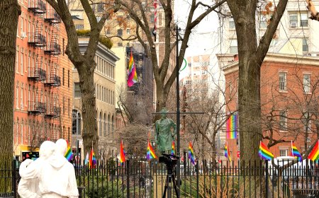 We will not be erased: Donald Trump’s theft of our Rainbow Flag won’t fly