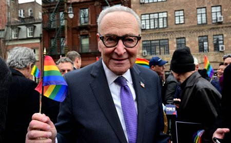 Schumer and Goldman formally introduce bill to protect Rainbow Flag