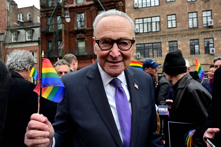 Schumer and Goldman formally introduce bill to protect Rainbow Flag