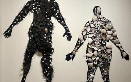 Beauty and the Bestial: Exhibition confronts the ugly truths of Fire Island’s past and present