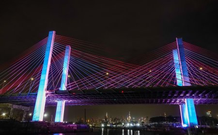 New York’s elected officials mark Transgender Day of Visibility