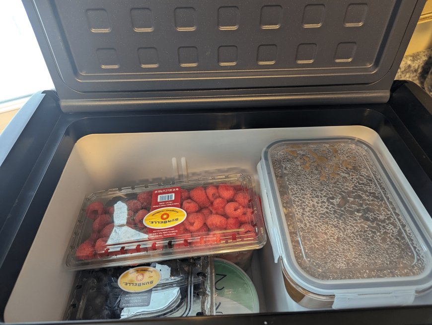 My Review of the BODEGA Electric Cooler